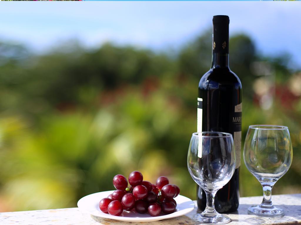 Colibri Guest house